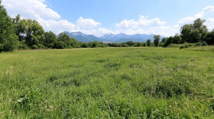 Fototapeta premium Open grass field with distant mountains