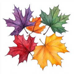 Fototapeta premium Five Colorful Maple Leaves in Autumnal Arrangement