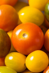 Organic Colorful Heirloom Cherry Tomatoes