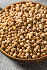 Dry Organic Indian Coriander Seeds