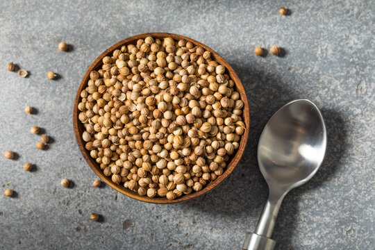 Dry Organic Indian Coriander Seeds