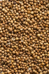 Dry Organic Indian Coriander Seeds