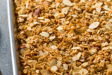 Homemade Organic Dry Almond Granola