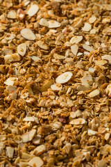 Homemade Organic Dry Almond Granola