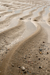 Rippling Patterns on the Wet Sand at the Beautiful Shoreline of the Expansive Beach Area