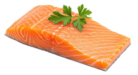 Isolated Salmon Fillet