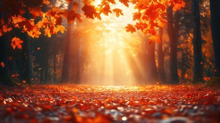 Beautiful autumn sunlight streams through the colorful forest canopy