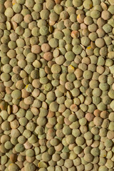 Dry Raw Organic Green Lentils