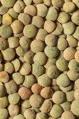 Dry Raw Organic Green Lentils