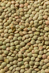 Dry Raw Organic Green Lentils