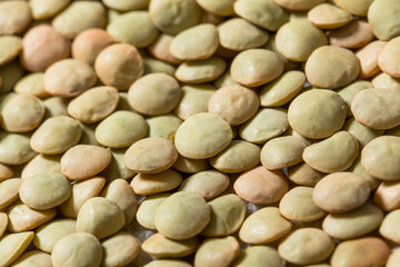 Dry Raw Organic Green Lentils