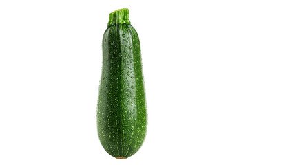 Isolated Green Zucchini Vegetable