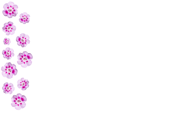 Barra lateral de flores de geranio