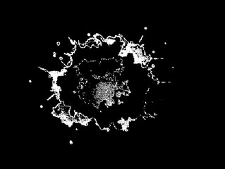 The black background in the image is an illustration of the distribution of white, black, gray, colors. It is a distribution of colors used as a beautiful illustration.