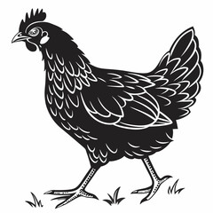 Chicken silhouette black vector