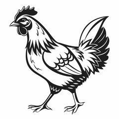 Chicken silhouette black vector