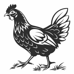 Chicken silhouette black vector