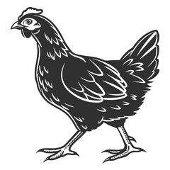 Chicken silhouette black vector