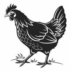 Chicken silhouette black vector