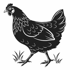 Chicken silhouette black vector