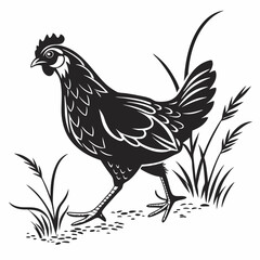 Chicken silhouette black vector