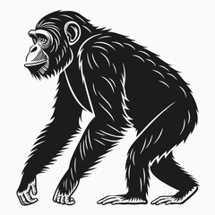 chimpanzee sihouette black vector