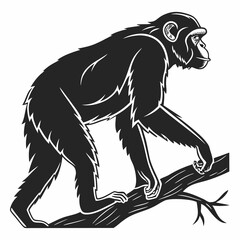 chimpanzee sihouette black vector