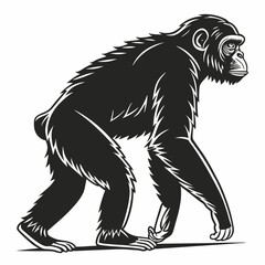 chimpanzee sihouette black vector