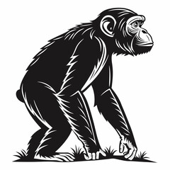 chimpanzee sihouette black vector