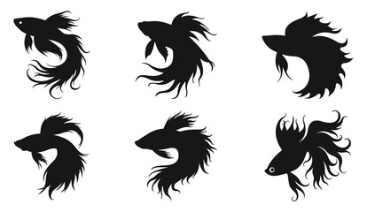 Betta (Siamese Fighting Fish) Silhouette Vector Art and Black Betta Fish Design Illustration set