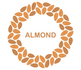 Nuts circle frame. Round almond border. Flat Vector illustration isolated on white background