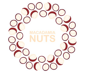 Nuts circle frame. Round macadamia nut border. Flat Vector illustration isolated on white background