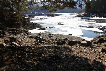 Winter landscape with snow-covered forest and river in the Altai mountains. Manzherok is a rural...