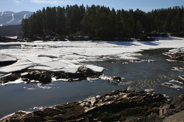 Winter landscape with snow-covered forest and river in the Altai mountains. Manzherok is a rural...
