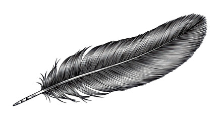 Isolated Feather © Johanna