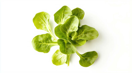 Obraz premium Fresh spinach leaves arrangement for healthy eating and cooking concepts