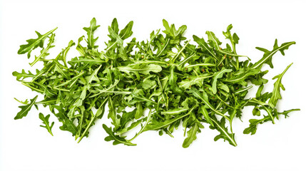Fresh arugula leaves for healthy salad preparation and gourmet cooking