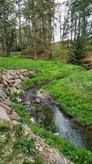 Small stream flowing through green grass in pruhonice park