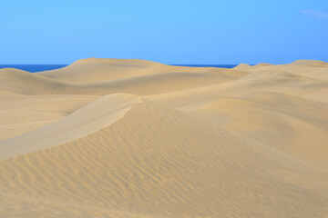 Sand dune with a sea at the background in Maspalomas, Gran Canaria. Sand barkhan with a wavy pattern