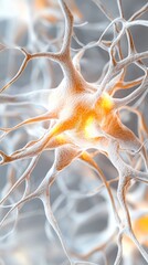 Neuron Cell Network.