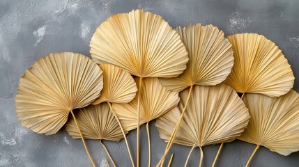 Dry palm leaves on a gray textured backdrop create an elegant, natural design. It is perfect for a bohemian aesthetic, wedding invitation or presentation.