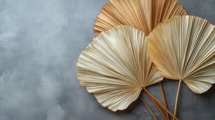 Three dried palm leaves on gray textured background, top view. Use for nature based designs, crafts, or creating an elegant backdrop.