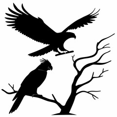 cockatiel black silhouette icon vector