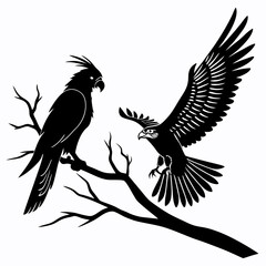 cockatiel black silhouette icon vector