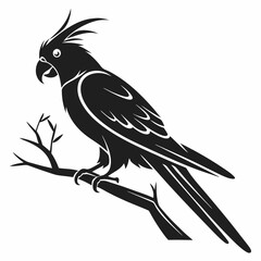cockatiel black silhouette icon vector