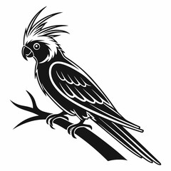cockatiel black silhouette icon vector