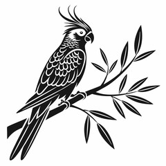 cockatiel black silhouette icon vector