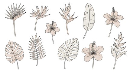 Assorted Tropical Flowers and Leaves in Beige Tone Line Art
