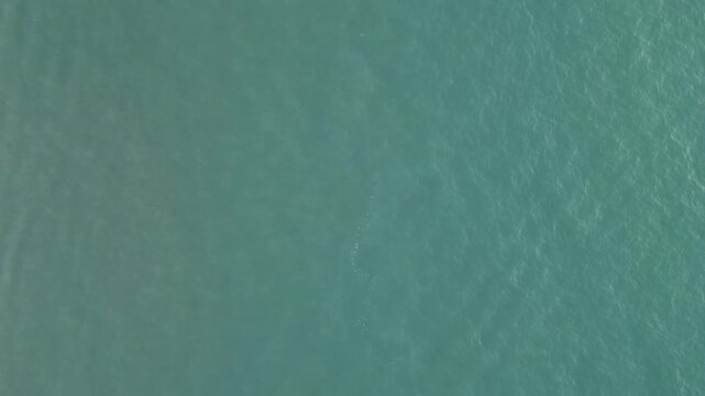 태국&nbsp;파타야&nbsp;해수욕장의 밤풍경과&nbsp;역동적인&nbsp;레저&nbsp;스포츠와&nbsp;제트스키,&nbsp;바나나보트,
