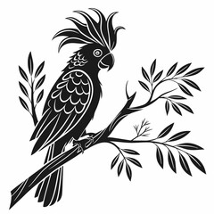 cockatoo silhouette black vector